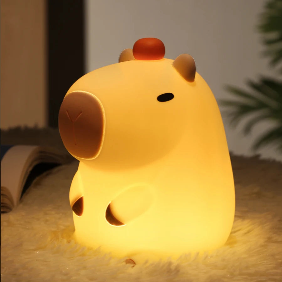 LED Night light